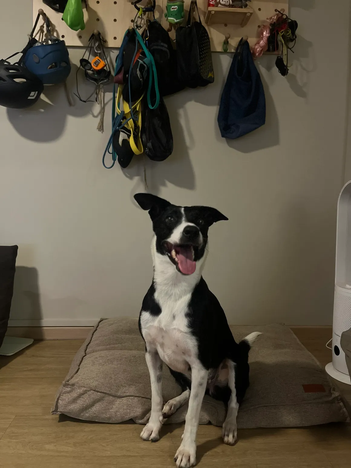 Tiny sitting on her bed